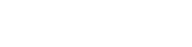 NexusDB Logo